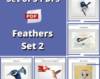 Zelfstudie veren schilderen: 5 lessen vogelkunst (pdf)