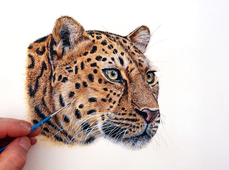 Paul finishing off a highly detailed watercolour painting of a leopard.  Paul has focused on the head and part of the neck.  The leopard is looking to the right, and has pale yellow eyes and a fixed stare.