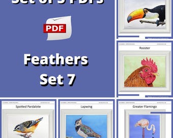 Watercolor Bird Painting Lessons: Realistic Techniques (PDF Download)