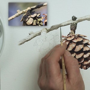 The right-hand cone is finished, and so too is the little branch.  Paul is just adding the finishing touches to the bark on it.