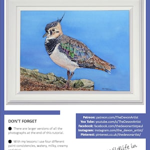 The first page of the lesson, with the Lapwing painting in a white frame.  Below are links to Paul's online art channels, and his email address for any queries.