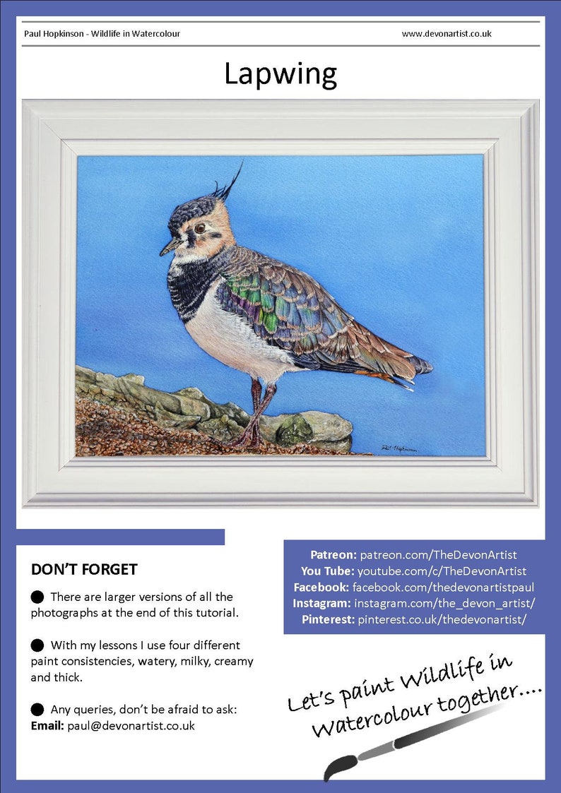 The first page of the lesson, with the Lapwing painting in a white frame.  Below are links to Paul's online art channels, and his email address for any queries.