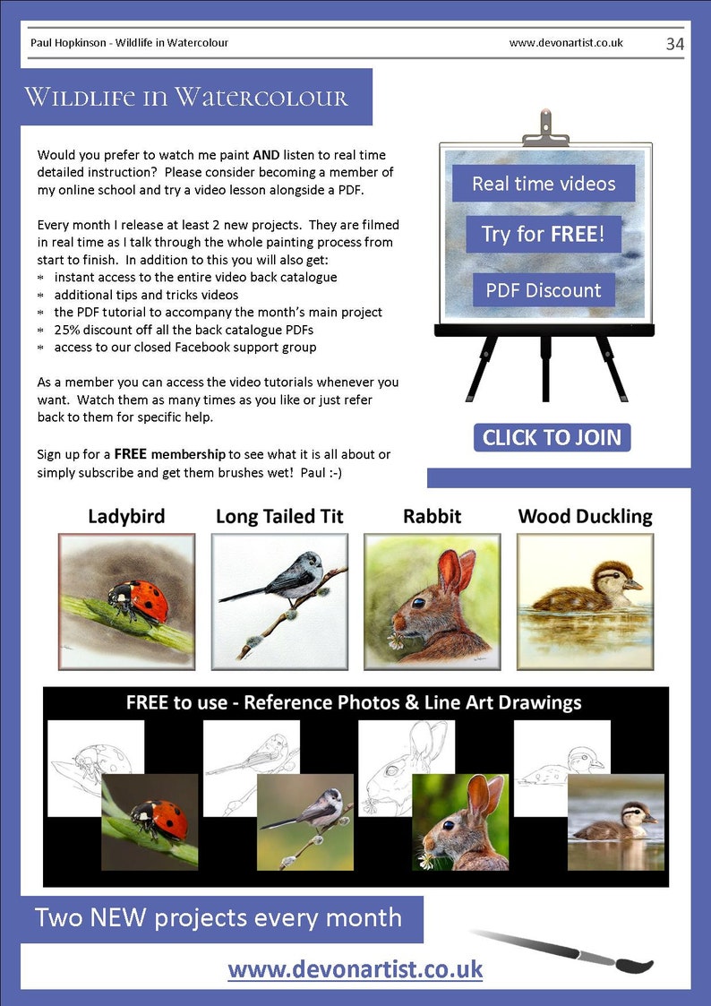 How to Paint Realistic Animal Fur Meerkat Watercolor PDF Etsy