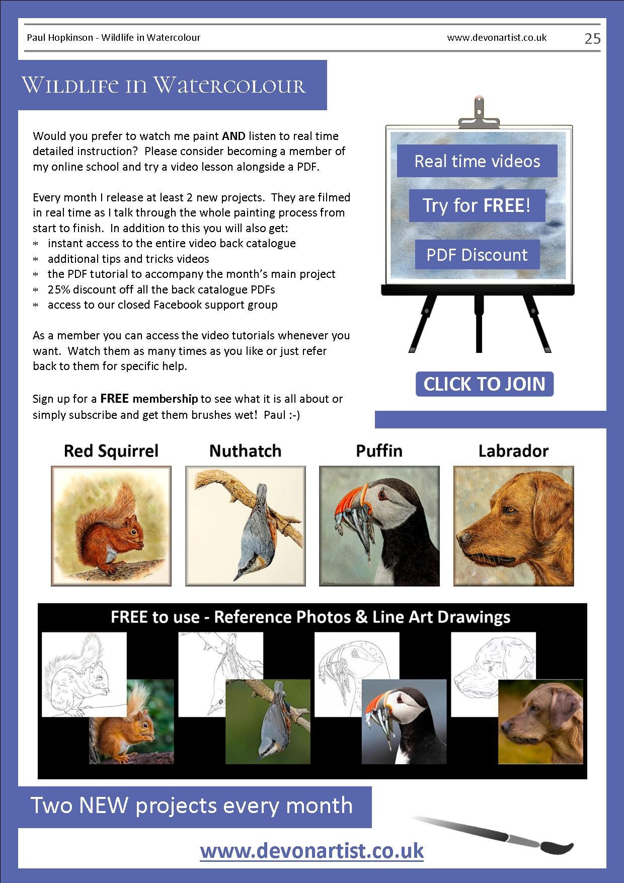 How To Paint Fur In Watercolor Learn To Paint Wildlife In Etsy UK how-to-paint-fur-in-watercolor-learn-to-paint-wildlife-in-etsy-uk