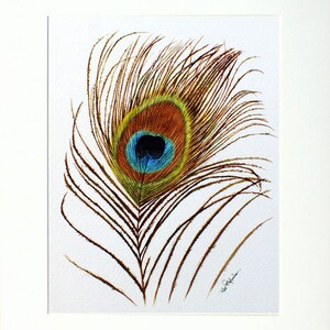 ORIGINAL Peacock Feather Watercolour Painting Watercolor Fine - Etsy