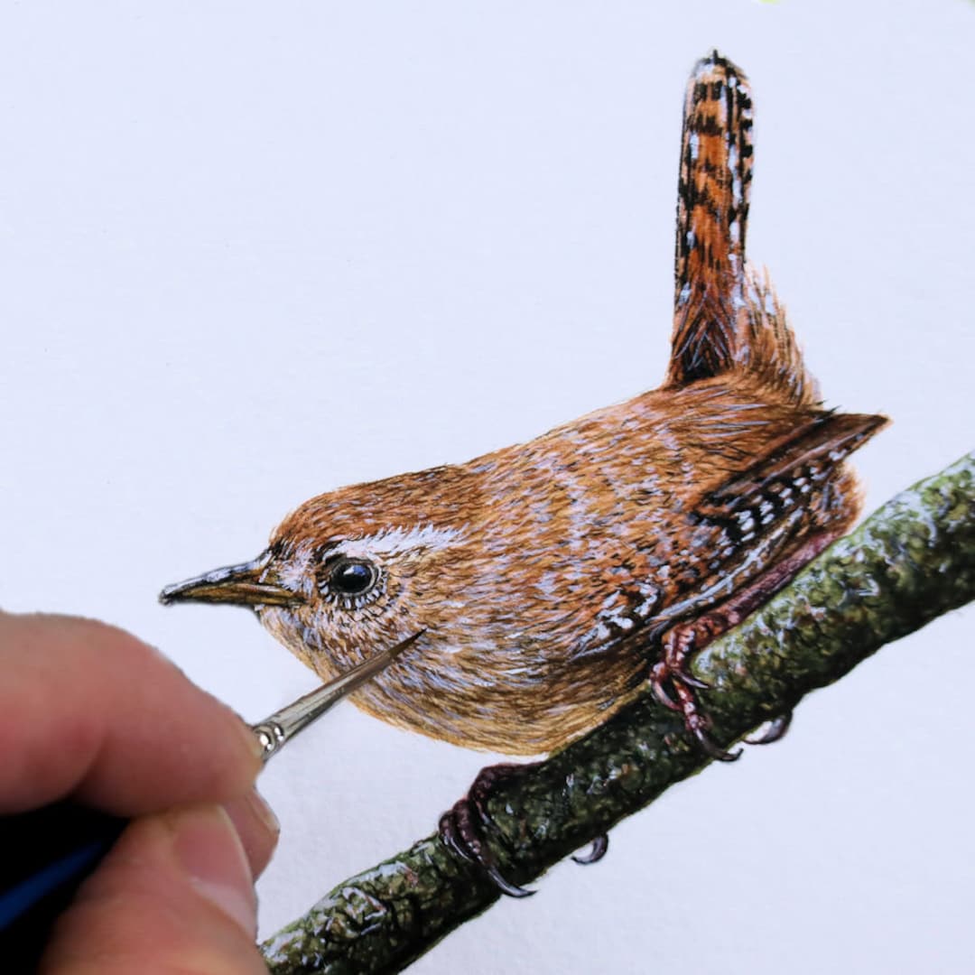 How to Paint Birds in Watercolor, Wren PDF Watercolour Tutorial, Learn to Paint Realistic