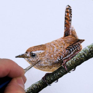 Paul is adding the finishing touches to a wren squatting on a small twig or stick.  This is a brown bird, with tiny chequerboard style patterning on its wing and tail.  The tail is cocked in a vertical position.