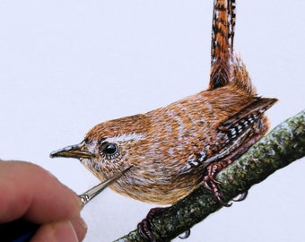 Cómo pintar pájaros en acuarela, Wren PDF Tutorial de acuarela, aprenda a pintar pájaros realistas y detallados, ilustración de arte de la naturaleza, kit de pasatiempo