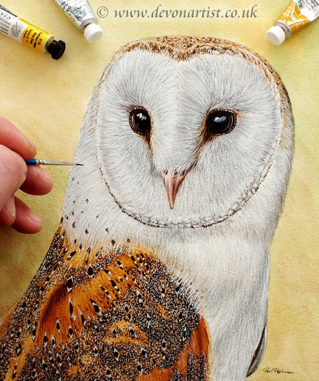 Step by Step Owl Painting, Learn to Paint Watercolor Tutorial, Watercolour PDF Lesson, Bird