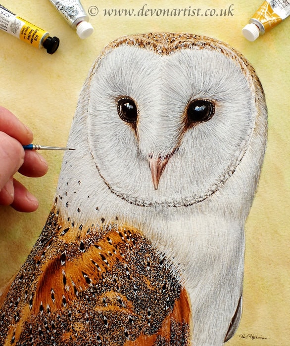 Adult Virtual Owl Canvas Paint Pre-Recorded Lesson