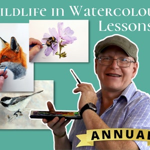 A picture of Paul holding a brush and paint pans with the word annual across him.  The title is Wildlife in Watercolour Lessons, and there are images of a Fox, Chickadee and Bumblebee paintings, all with Paul's hand on them with his brush.