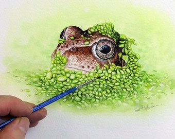 Original Watercolour Frog Painting, Illustration of a Common Frog in Watercolor, Realistic Fine-Art Detail