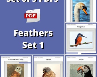 Downloadable Lessons on How to Paint Feathers in Watercolour, Realistic Watercolor Bird Paintings, PDF Art Tutorials, Illustration Guide