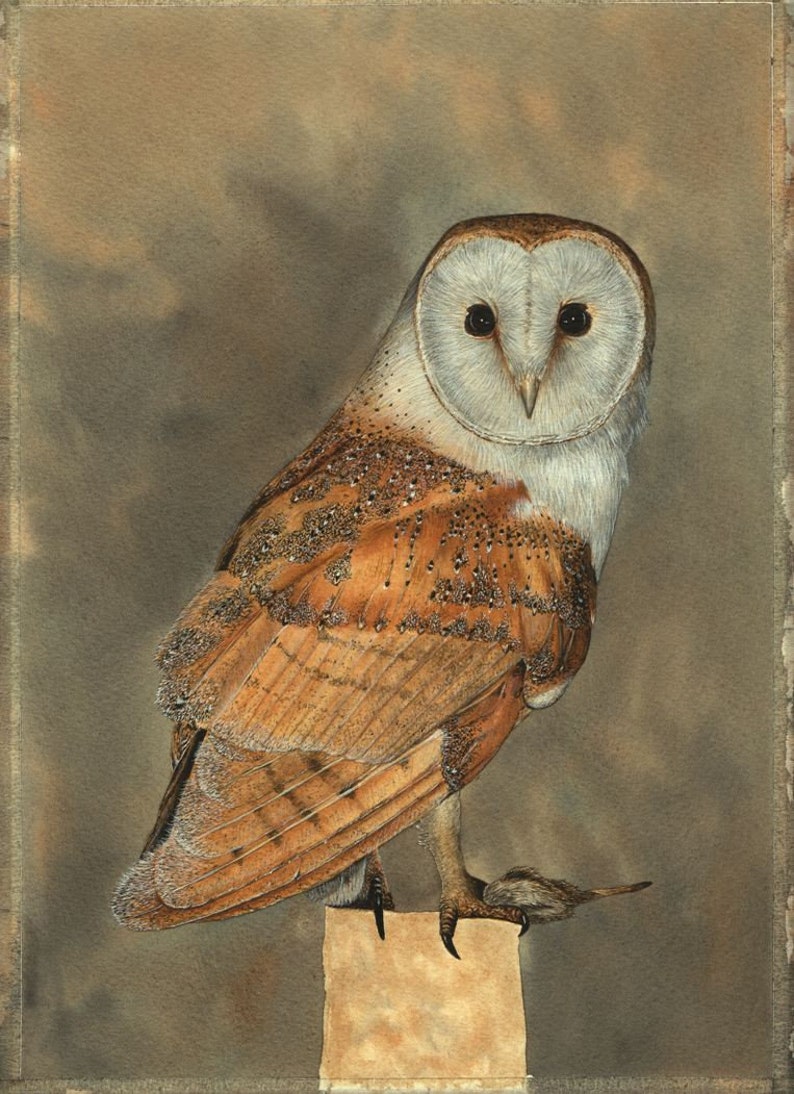 The bird is complete in this photo, but the wooden stump that it is standing on has just a pale wash of colour on it and no detail.