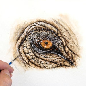 Learn to Paint this Elephant's Eye in Fine Watercolour Detail, Illustration Art Watercolor Tutorial PDF