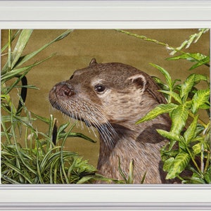 May include: A close-up portrait of a brown otter with a curious expression, peering out from a bed of green foliage.
