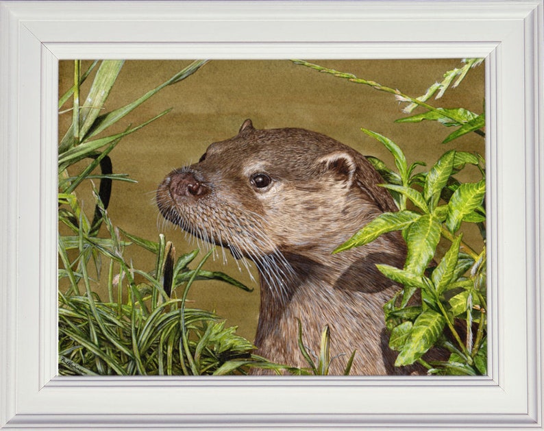 May include: A close-up portrait of a brown otter with a curious expression, peering out from a bed of green foliage.