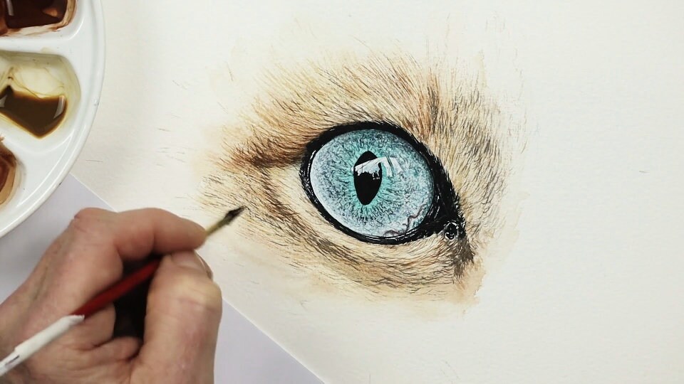 Watercolour Painting Lesson Cat's Eye Study in - Etsy Finland Watercolour Painting Lesson Cat's Eye Study in - Etsy Finland