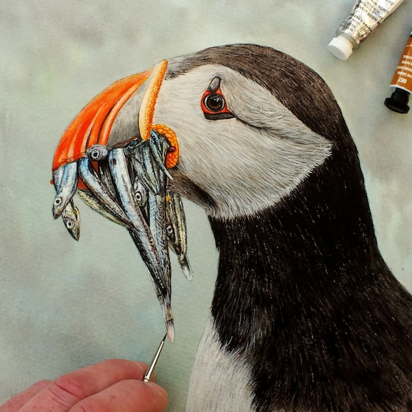 Tutorial de pintura de acuarela de frailecillos: Lección de arte paso a paso (Descargar PDF)
