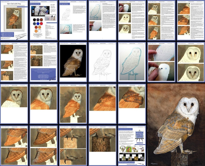 This image is a collage of all the pages in the lesson.  There are large blocks of text alongside photos of Paul's work as it progresses.  There are larger work in progress photos to look at after the written section.