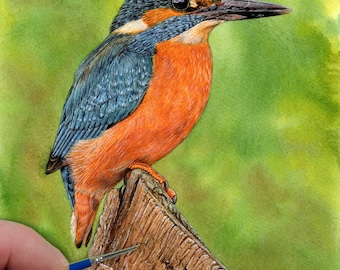Kingfisher Bird Painting Tutorial, Learn to Paint Realistic Watercolour Birds, How to Paint in Watercolor