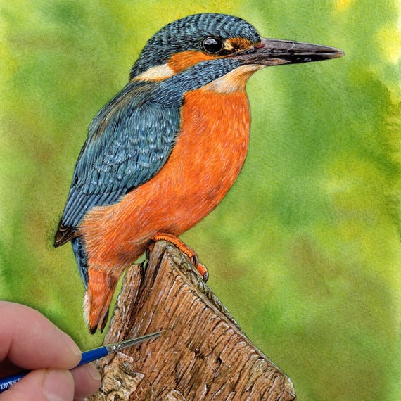 カワセミの鳥の絵のチュートリアル、リアルな水彩画の鳥の描き方