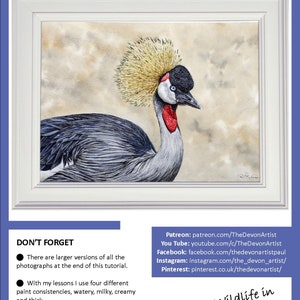 The first page of the tutorial with the finished Crane painting shown in a white frame.  The bird is mainly black, grey and white, but it has two bright red patches on its face, a blue eye and a golden feathery crown.