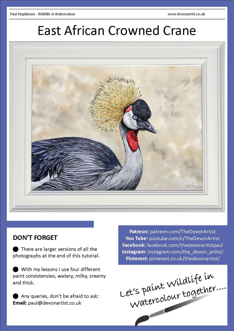 The first page of the tutorial with the finished Crane painting shown in a white frame.  The bird is mainly black, grey and white, but it has two bright red patches on its face, a blue eye and a golden feathery crown.
