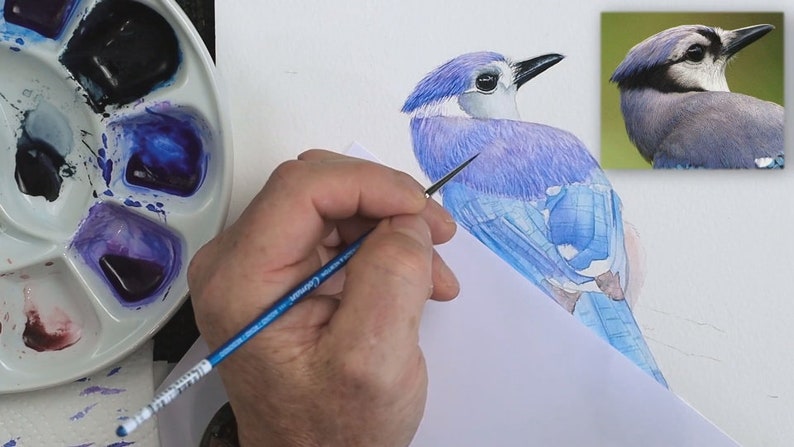 The washes are now complete, and Paul is working on adding very fine tiny details to the head and back to represent the plumage of the bird.  His palette is shown to the left.