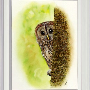 Paul's finished watercolour painting of the Tawny Owl in a white frame.