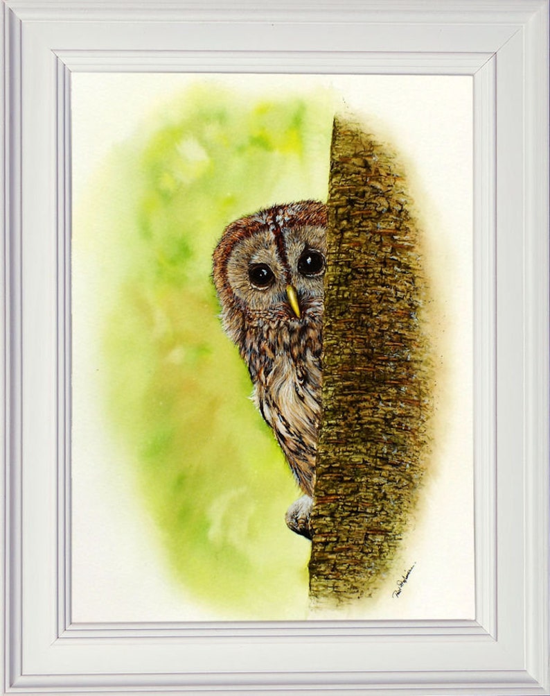 Paul's finished watercolour painting of the Tawny Owl in a white frame.