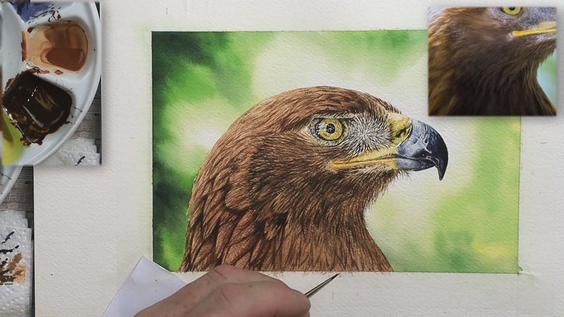 The bird has more feathers now, in a darker colour and on top of the ones shown in the previous photo.  It is already looking realistic, but not quite dark enough compared to the photo.