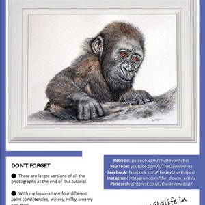 The first page of the ebook, this shows the gorilla painting in a white frame.  Below are links to Paul's other online channels, YouTube, Facebook, Instagram etc.