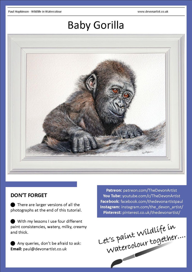 The first page of the ebook, this shows the gorilla painting in a white frame.  Below are links to Paul's other online channels, YouTube, Facebook, Instagram etc.