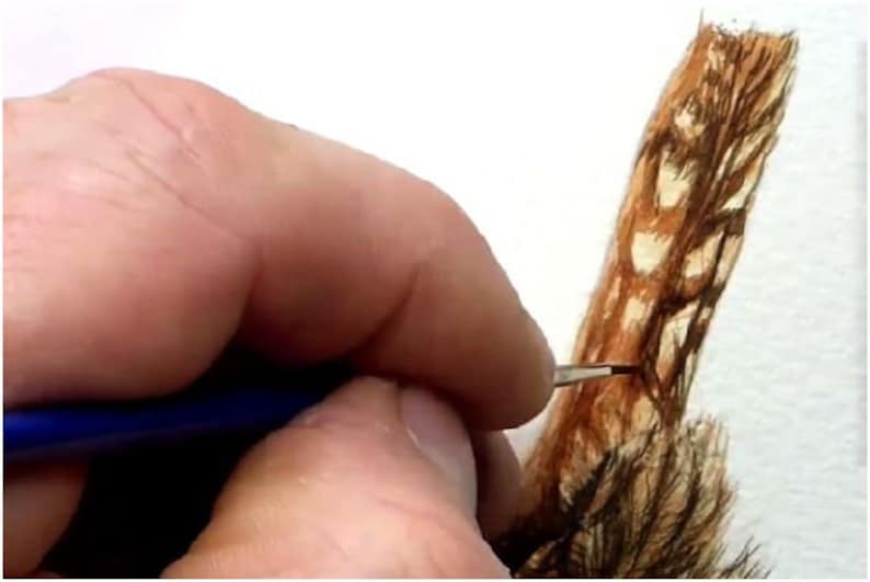 In this photo Paul is adding the tiny brown pattern to the Wren's tail.  It creates a sort of checkerboard effect.