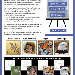The last page of the lesson with written details on Paul's online video tutorials.  There are also photos of 4 more PDF lessons.  An American robin, wood mouse, tiger and bald eagle.