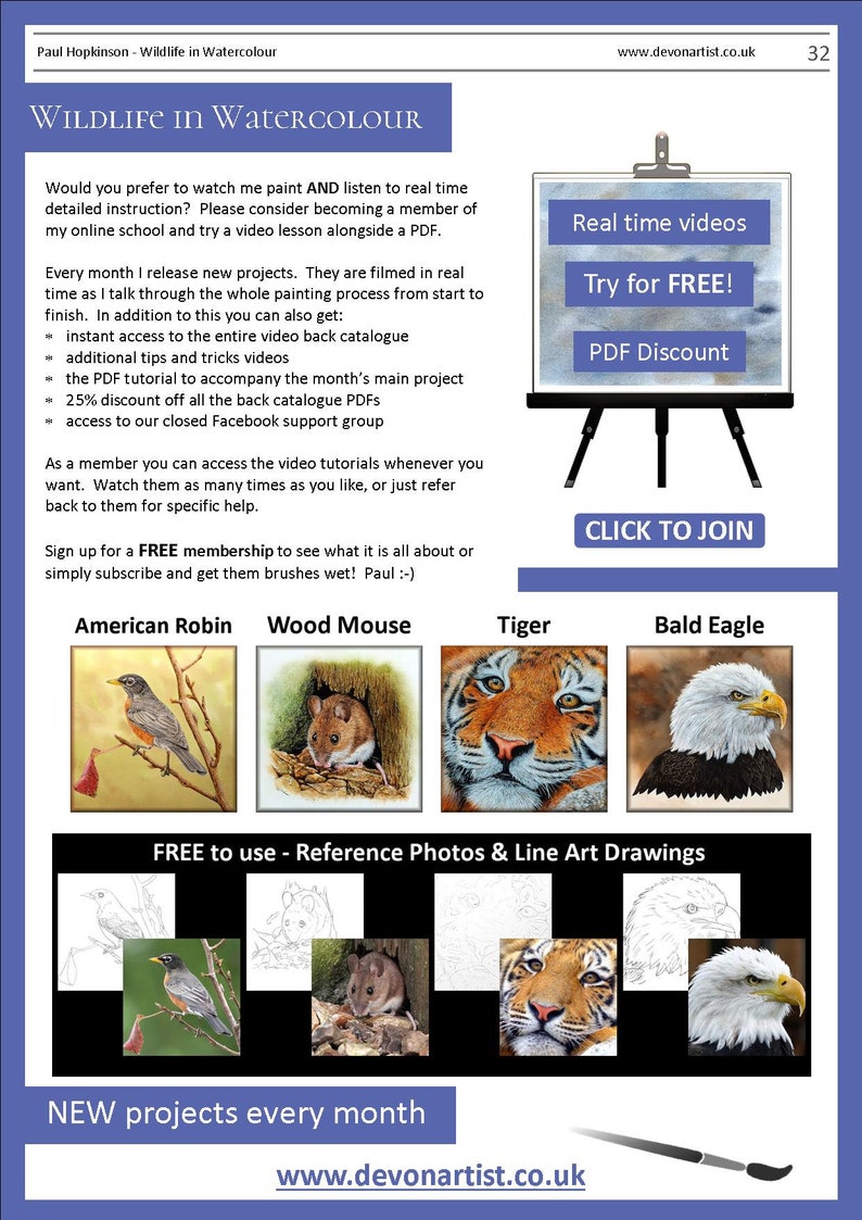 The last page of the lesson with written details on Paul's online video tutorials.  There are also photos of 4 more PDF lessons.  An American robin, wood mouse, tiger and bald eagle.