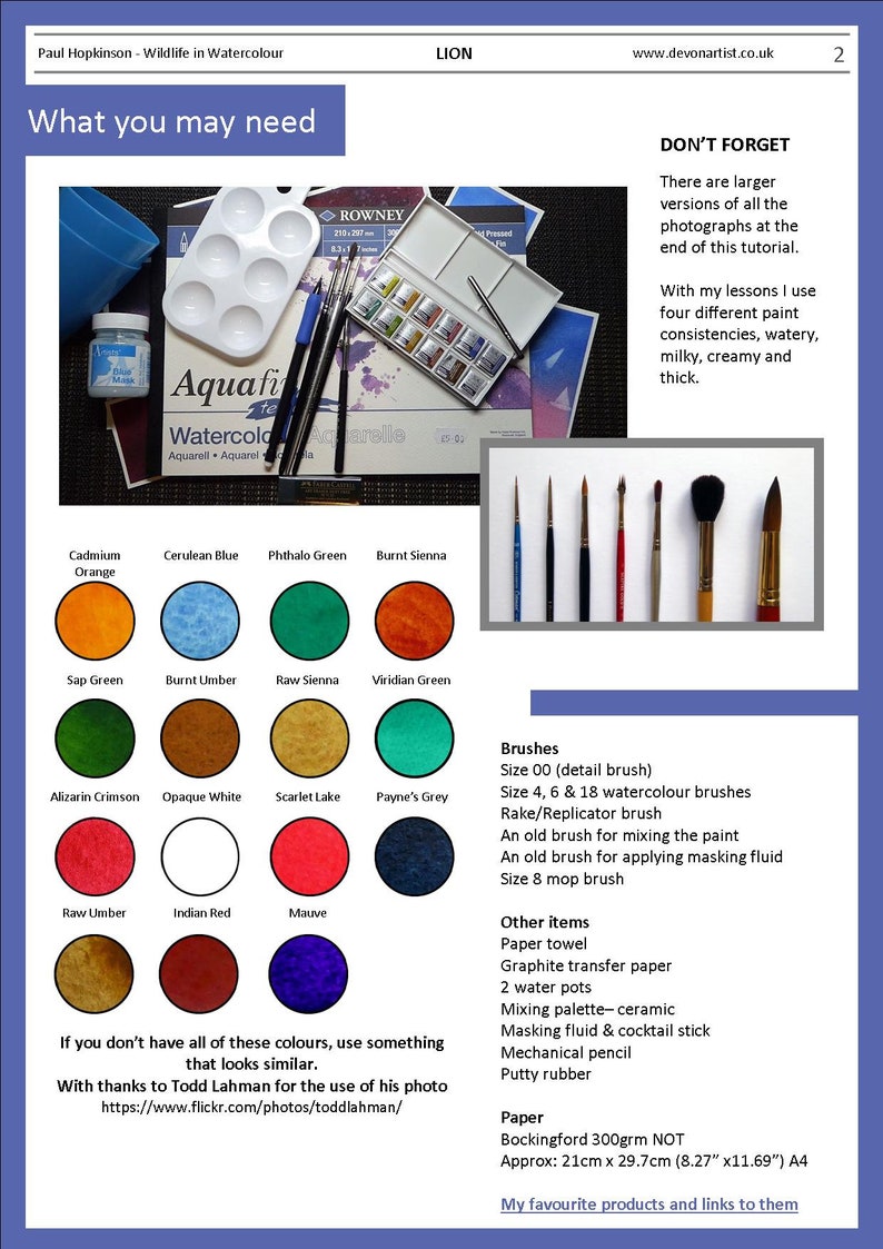 An overview of the materials and paints needed to complete this painting.  The colours are shown as swatches, and there are 15 of them, including reds, browns, blues and greens.