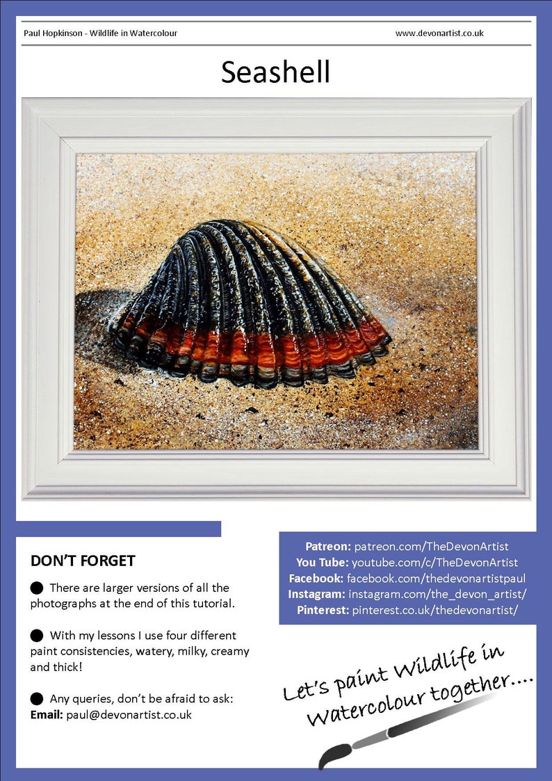 The first page of the shell painting lesson, which shows the finished shell painting in a white frame.  It is a cockle shell, but very dark with an almost red band to the base.  It is on sand, and is very detailed in style.