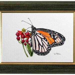 The original monarch painting in a green frame, with a gold inner trim.