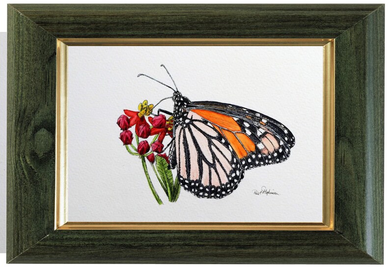 The original monarch painting in a green frame, with a gold inner trim.