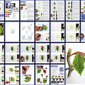 An overview image of the Spring beech leaf tutorial, showing all the pages, and the range of written and photographic guidance for the project.