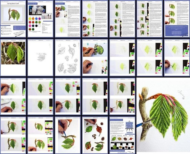 An overview image of the Spring beech leaf tutorial, showing all the pages, and the range of written and photographic guidance for the project.