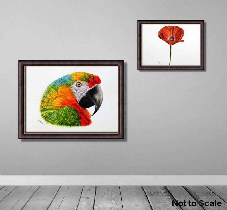 The parrot painting is shown in a dark frame and hung on a grey painted wall.  Above and to the right is a painting of a poppy in the same style frame.