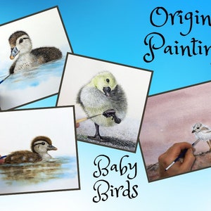 4 original paintings on a blue background.  Top left a duckling which is mainly brown & white.  In the middle, a Gosling stood on one leg, with fluffy yellow plumage. Bottom left is a brown spotty duckling, and bottom right a fluffy chick on a beach.