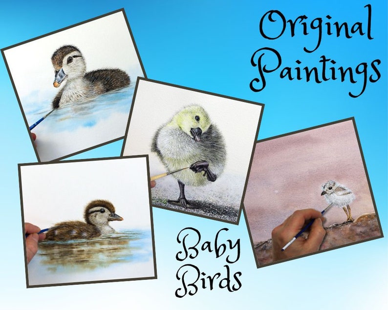 4 original paintings on a blue background.  Top left a duckling which is mainly brown & white.  In the middle, a Gosling stood on one leg, with fluffy yellow plumage. Bottom left is a brown spotty duckling, and bottom right a fluffy chick on a beach.