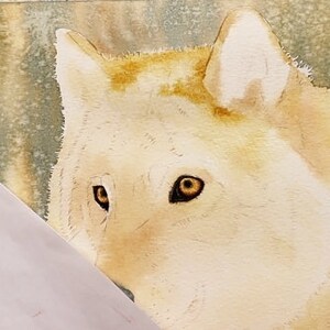 An early stage in the painting with the wolf's eyes painted, and a wash applied to the body.  The background has also been painted, it looks like a suggestion of a forest with snow falling.