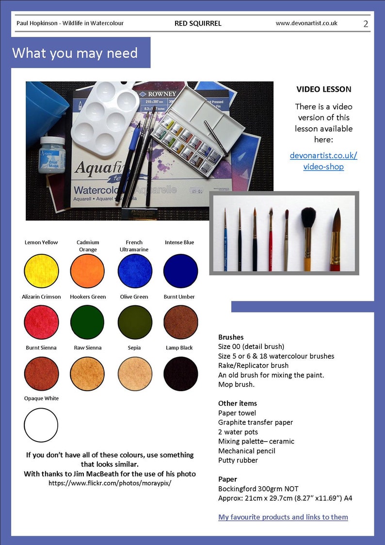 The materials section with the paint colours shown as circular swatches.  Alongside are a list of other materials and equipment that the student would need to complete the project.