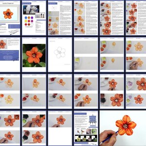 Step-by-step watercolour e-book, which shows how to paint this pretty little orange/ red wildflower, in fine, botanical detail.  This image shows all the pages of the written lesson.