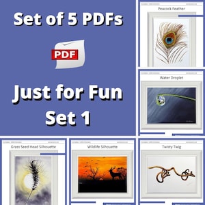 A set of 5 small watercolor projects, a peacock feather, a water droplet, a twisty twig, a sunset silhouette with a deer, and another silhouette of a grass seed head.  All are painted in fine detail, and are realistic in style